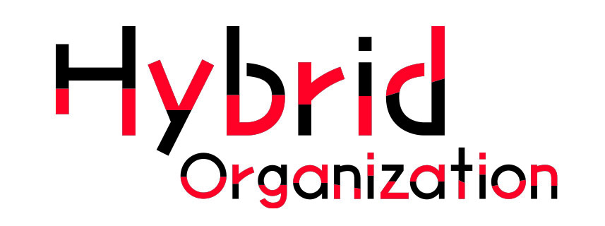 Hybrid Organization