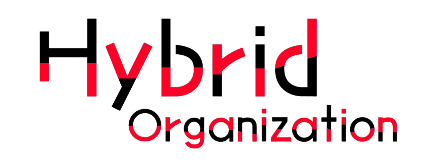 Hybrid Organization